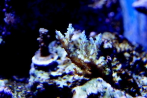 DSC03947