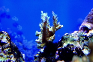 DSC03948