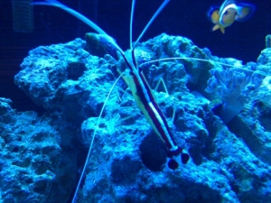 He loves to come out for the camera