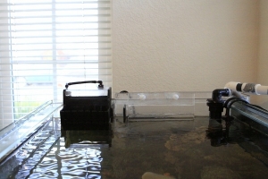 fluval sump
