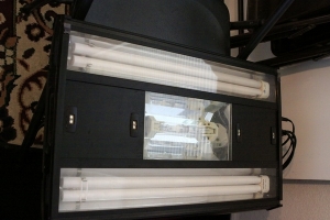 24 inch mh 25watt, two athenic 65 watt
