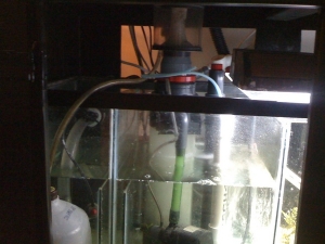 Protein skimmer