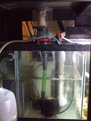 Coralife Super Skimmer