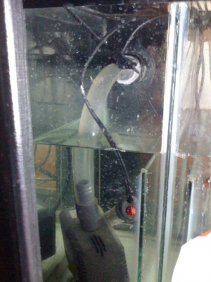 Rio Pump 2500, 529 gal per hr @ 4ft. Tank drilled