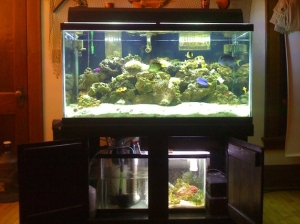 120 gal w/ 30 gal refugium/sump