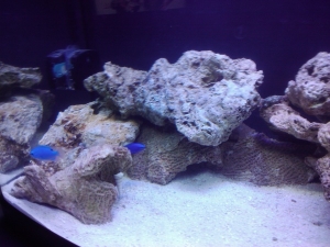 2010 12 31 00.50.39