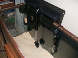 the lift side of my tank to include the protein skimmer, the filter and the heater