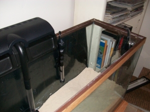 right side of my tank. the powerhead is in that front right corner with the nozzle turned more toward the center of the tank