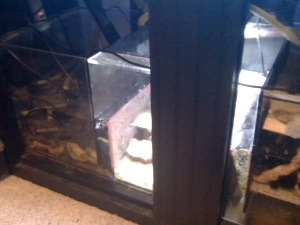 sump