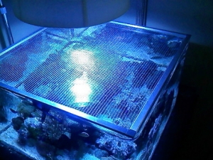 the lid for night time and when im out. it keeps fish in