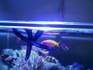 see how close it is. just enough room to let the water still flow over the sides without interfering