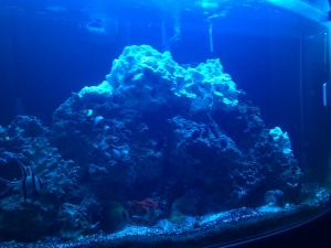 New rocks