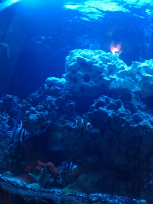 IMG 20110109 195528