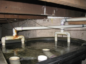 Plumbing coming from tank into first sump