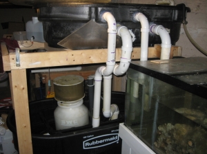 Pic of basement setup
