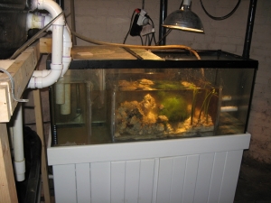 75 Gal I turned into my refugium