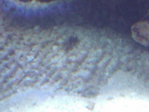 2011 01 15 12.43.12