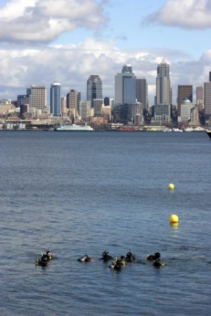 Me (far front left) and some friends diving at Alki with Seattle in the background.