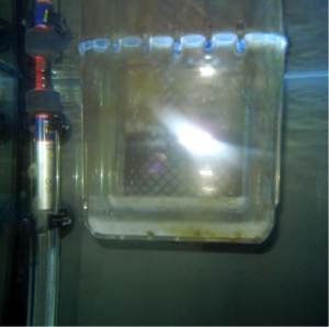 Heater and filter