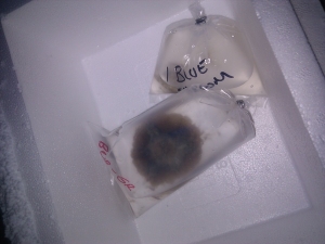 IMG 20110126 185701