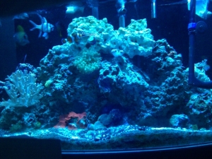 IMG 20110126 193046