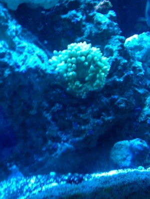 IMG 20110126 203531