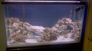 Rock additions jan 17 2011