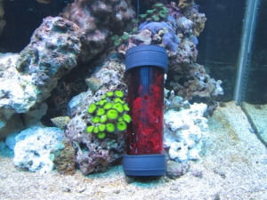 worm trap..This thing really works well.
Just put some bait..ANYTHING ..in a piece of pantyhose rubber band both ends and place it in the tube..I also use a couple of silver quarters for ballast..drill some 1/4 inch holes in it...and they just RUN to it 