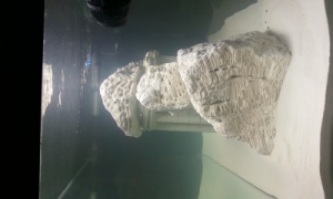 Photo0089