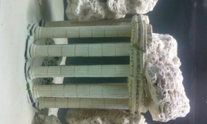 Photo0090