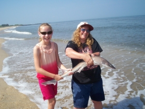 capemay sandshark