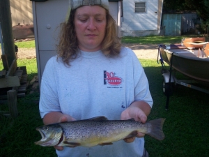 brown trout