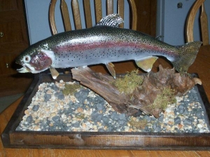 double sided mount - rainbow