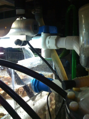 Fuge/frag-rack gravity feeds into sump.  
On reverse lighting schedule.