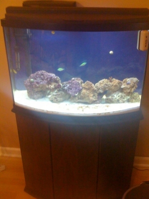My tank