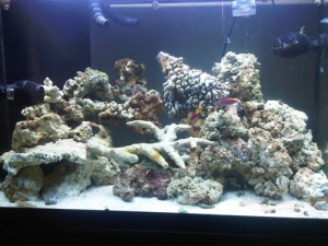 The full tank