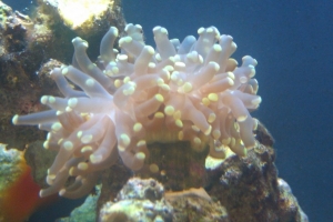 IMAG0055