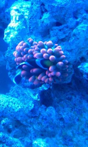 IMAG0161