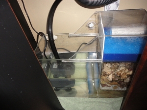 Wet/dry turned into a Sump
