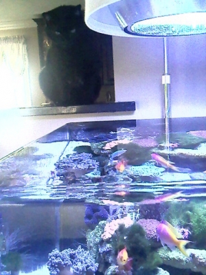 im watching you, hey look at the fish at the bottom he looked shocked