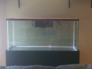 75g DT in living room on diy stand, making open top canopy now with t5's for now