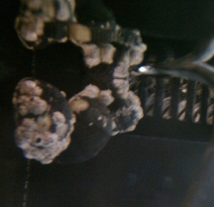 IMAG0265