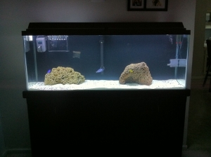 tank now