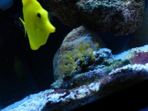DSCN0460