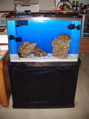 My new 45 gallon tank, homemade stand, Marineland Reef Capable LED lights, 2 powerheads, 45 lbs of live sand, and 45 lbs of live rock.  Livestock - 2 turbos, 2 bumble bee snails, and 2 hermits with more to come soon (still a little more cycling to do).
