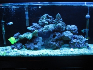 November 2010