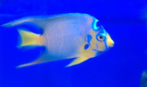 IMAG0359