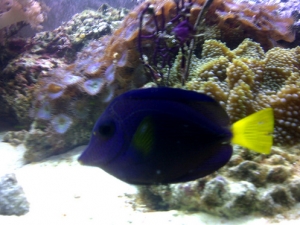 IMG 20110825 00072