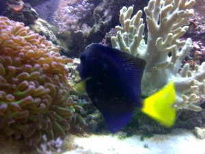 IMG 20110825 00073