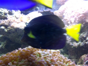 IMG 20110825 00074